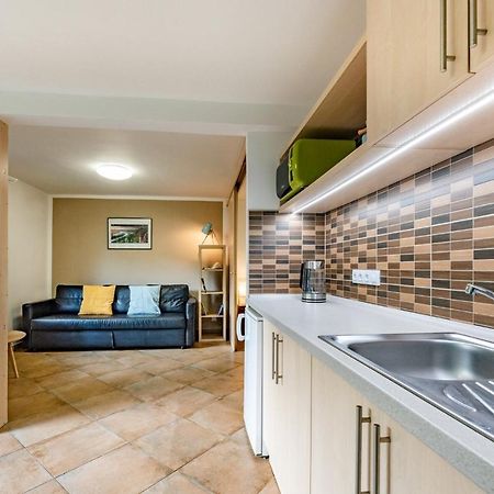 דצ'ין Apartment Vaclavov מראה חיצוני תמונה